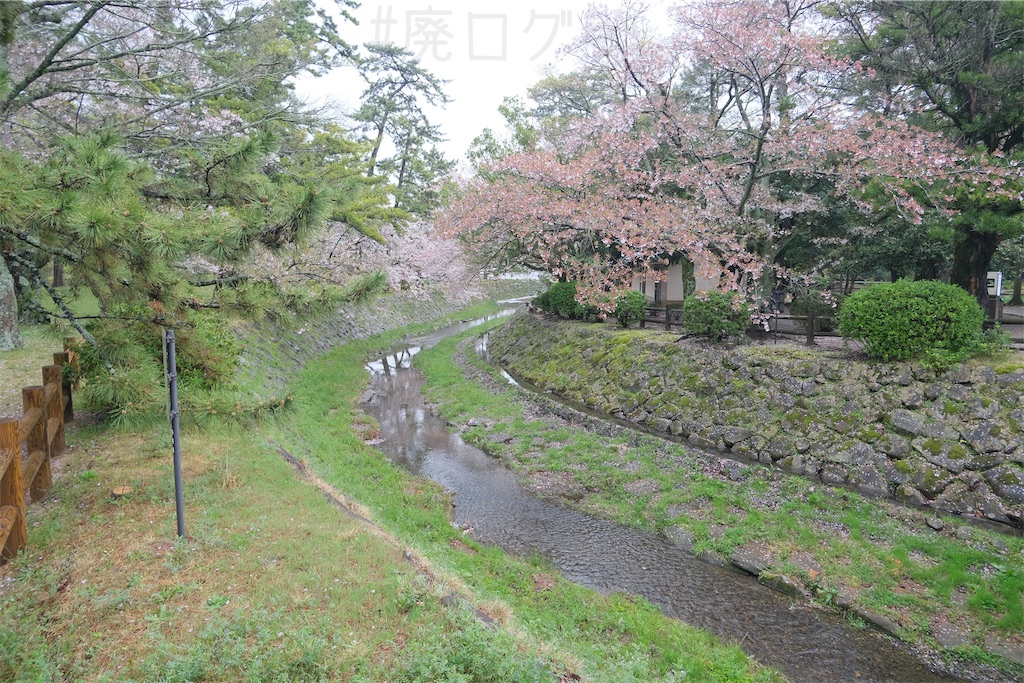 f:id:hiyapa:20260426220117j:image f:id:hiyapa:20260426220117j:image