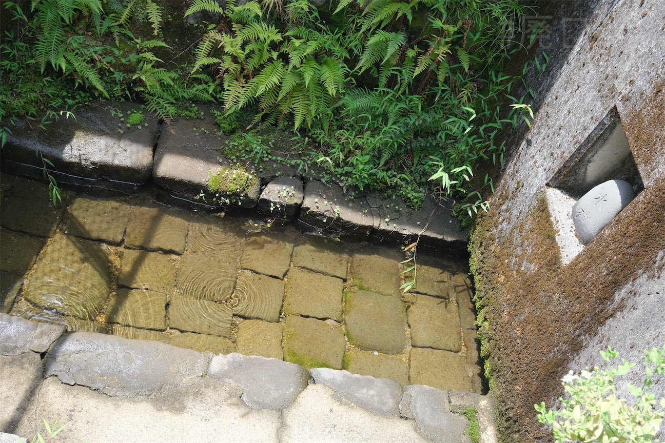 f:id:hiyapa:20260926164404j:image