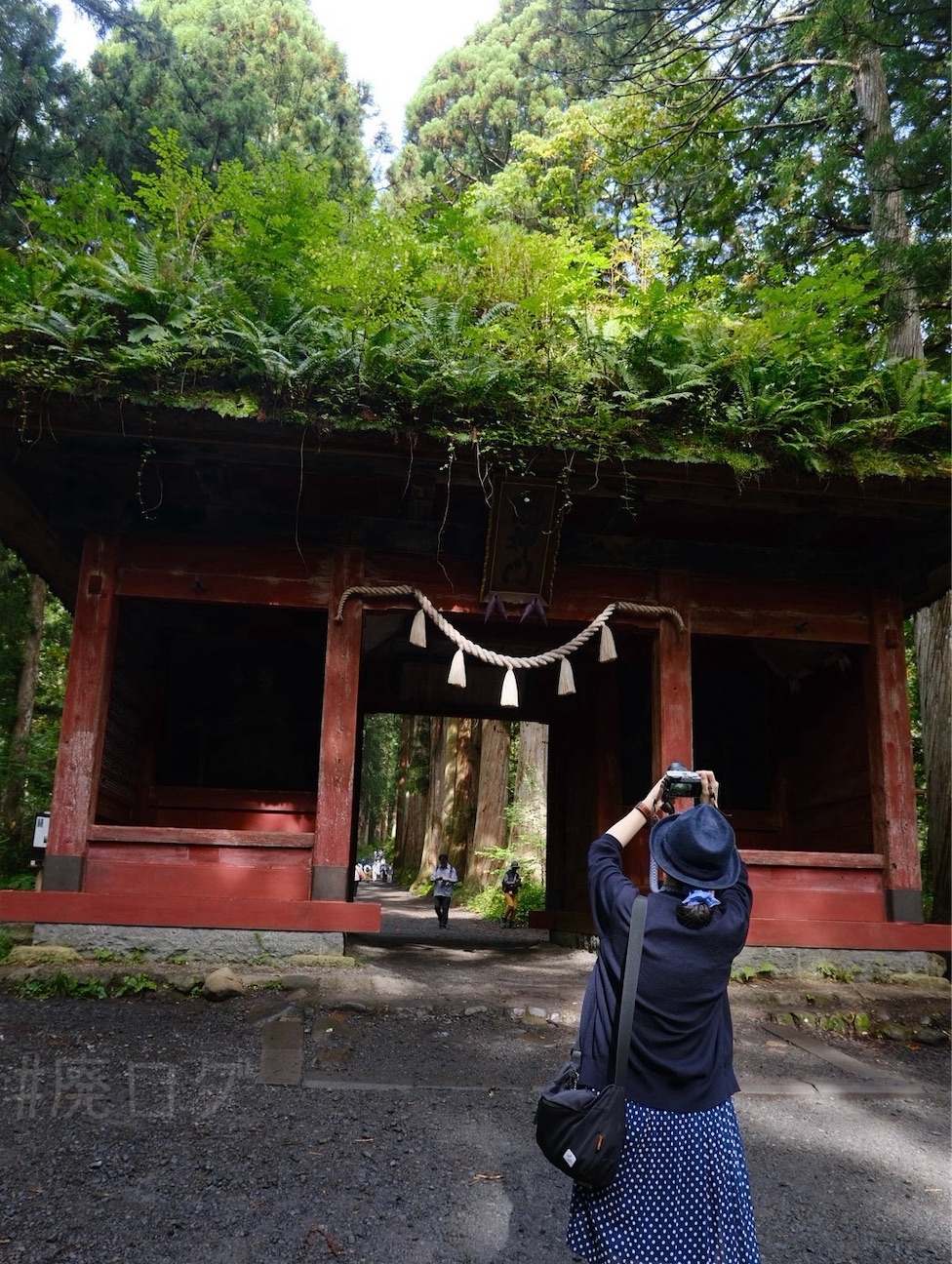 f:id:hiyapa:20261004182253j:image