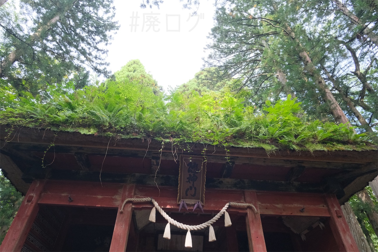 f:id:hiyapa:20261004182254j:image