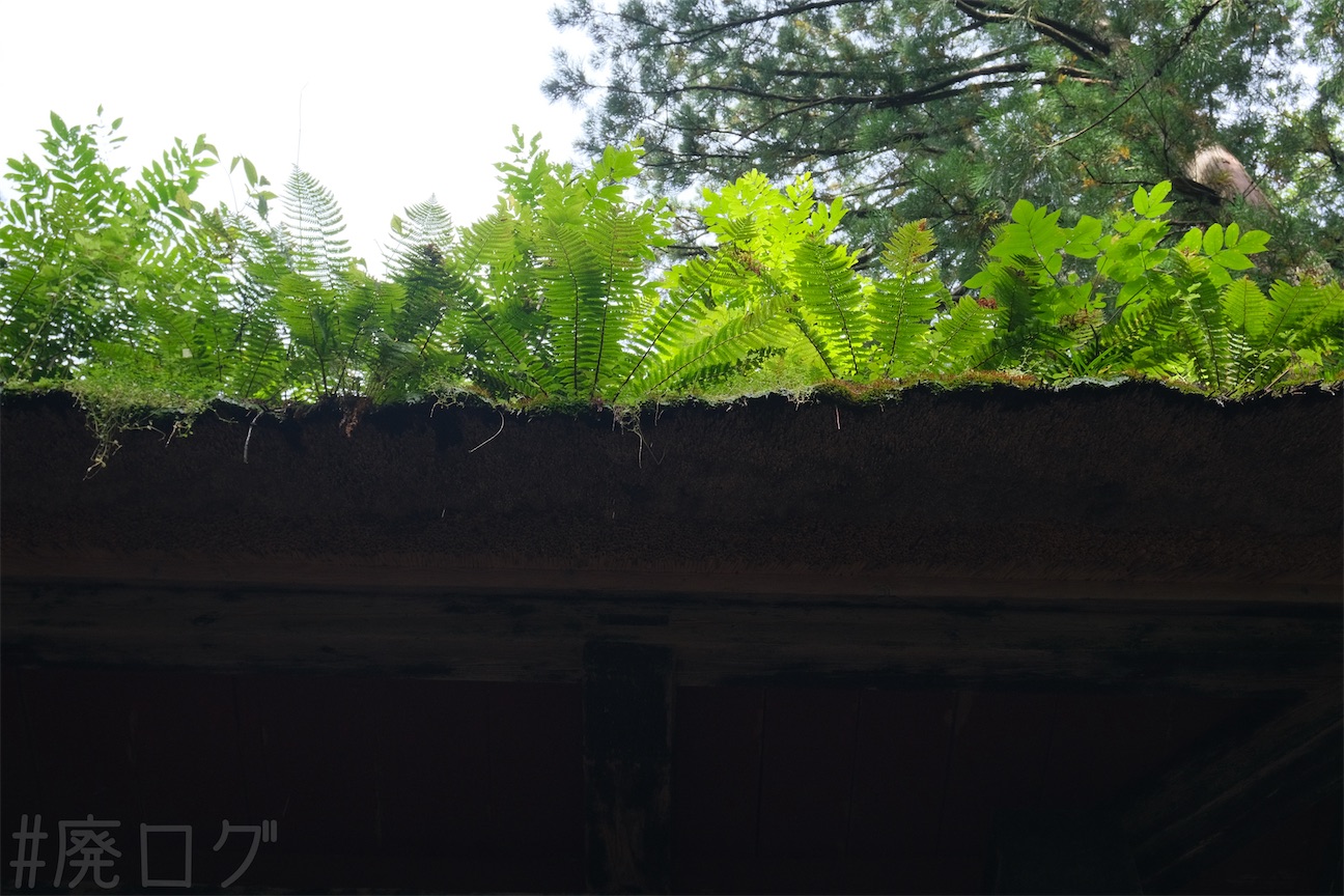 f:id:hiyapa:20261004182255j:image
