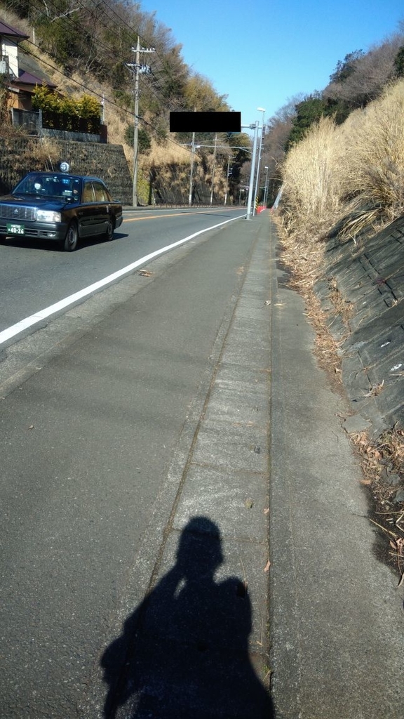 f:id:hiyayakko3:20190202205733j:plain