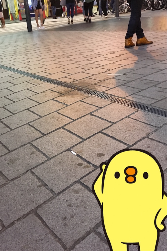 f:id:hiyo5o:20170611233342j:image f:id:hiyo5o:20170611233342j:image