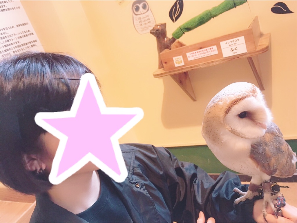 f:id:hiyo840:20190617110433j:image f:id:hiyo840:20190617110433j:image