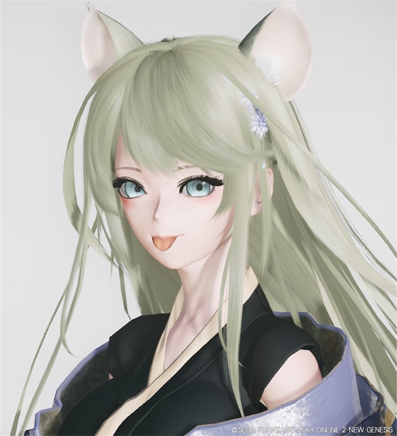 f:id:hiyokomame2021:20230214184249j:image f:id:hiyokomame2021:20230214184249j:image