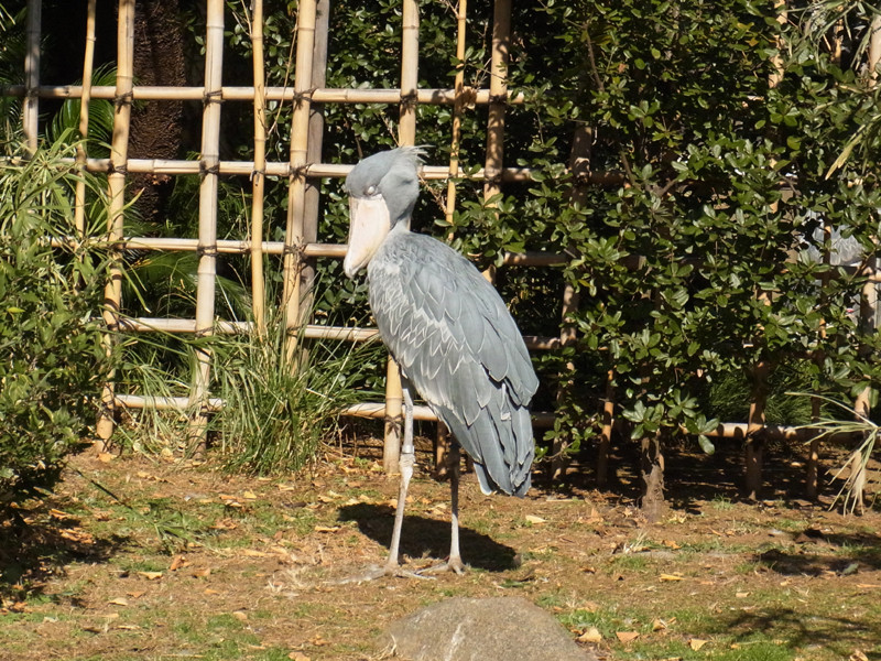 20120203224706