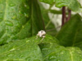 20130715231136
