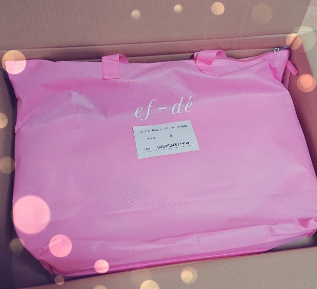 f:id:hiyokonoyoko:20190104193106j:image