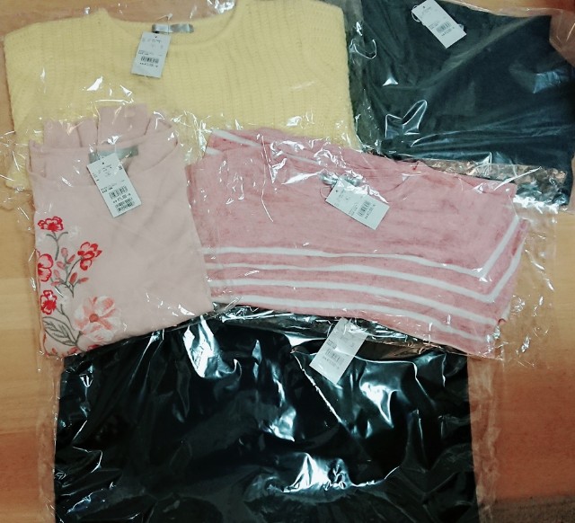 f:id:hiyokonoyoko:20190104193227j:image