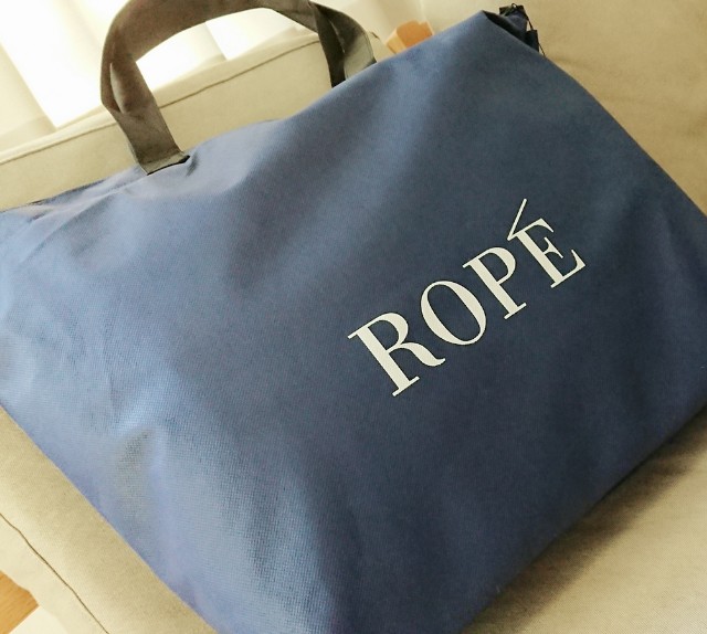 f:id:hiyokonoyoko:20190105005503j:image f:id:hiyokonoyoko:20190105005503j:image