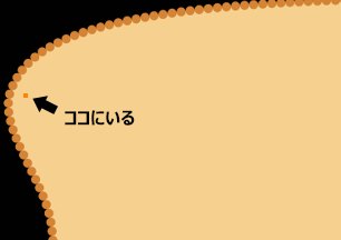 f:id:hiyokosabrey:20211014002135p:plain