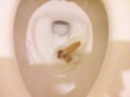 20110517192600