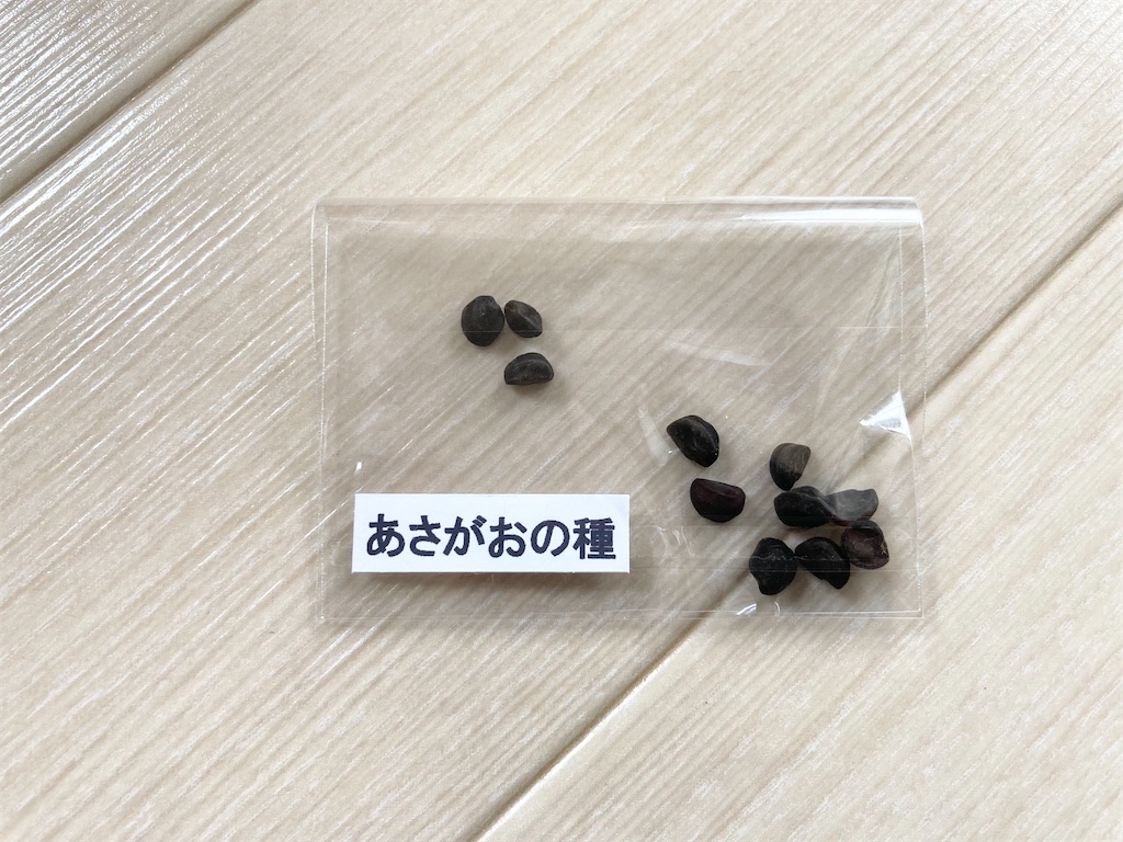 f:id:hiyori_minimum:20230612145515j:image