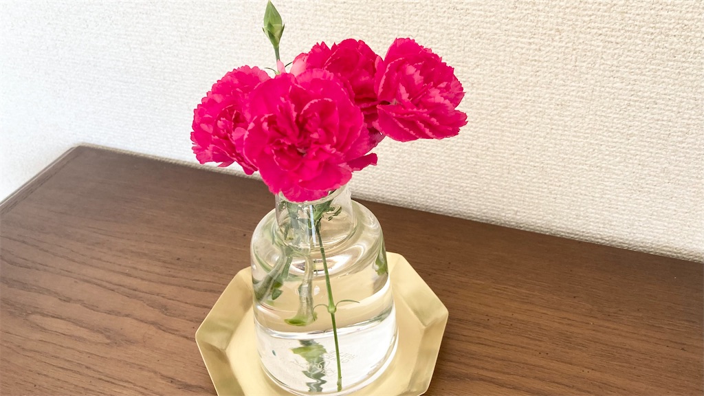 f:id:hiyori_minimum:20250220110740j:image