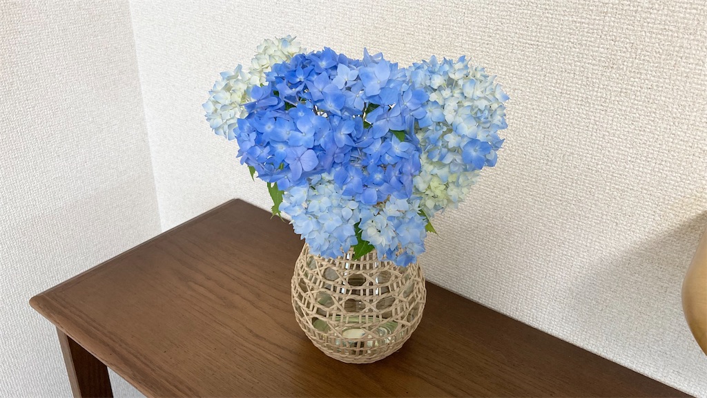 f:id:hiyori_minimum:20250616142748j:image