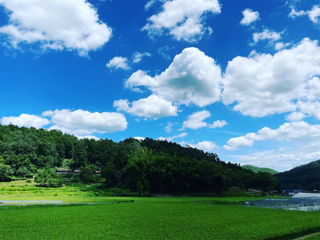 日吉町観光大使のblogはじまります 日吉町観光大使のblog