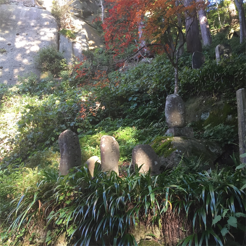 f:id:hiza10ji:20161105095248j:image