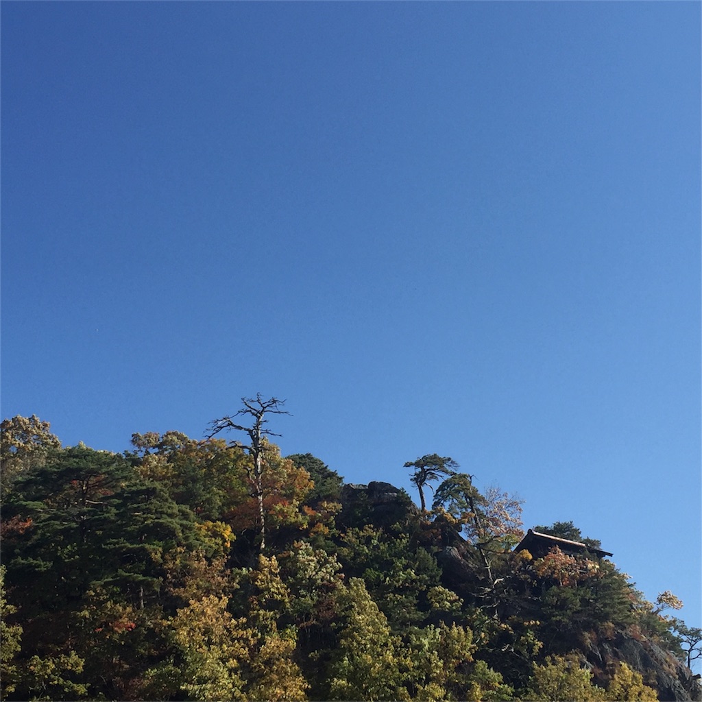 f:id:hiza10ji:20161105135109j:image