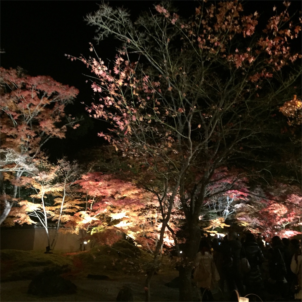 f:id:hiza10ji:20161120182038j:image
