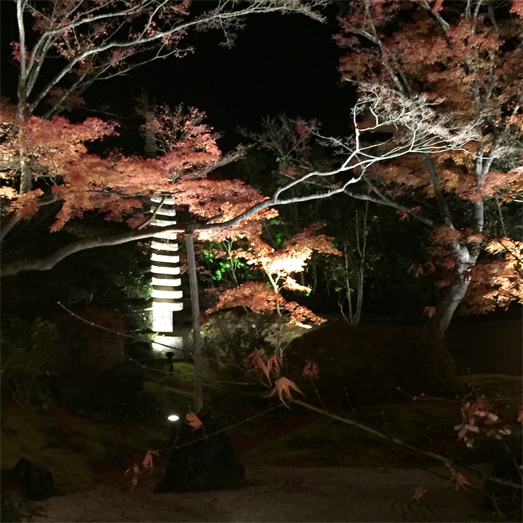 f:id:hiza10ji:20161120182236j:image