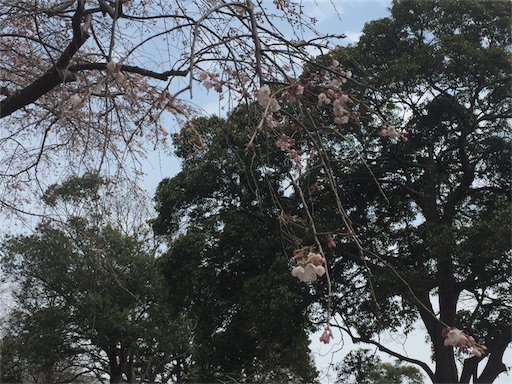 f:id:hiza10ji:20180401152034j:image