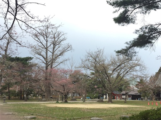 f:id:hiza10ji:20180401192746j:image