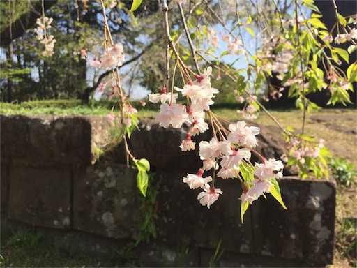 f:id:hiza10ji:20180421155847j:image f:id:hiza10ji:20180421155847j:image