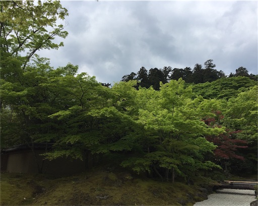 f:id:hiza10ji:20180505144248j:image