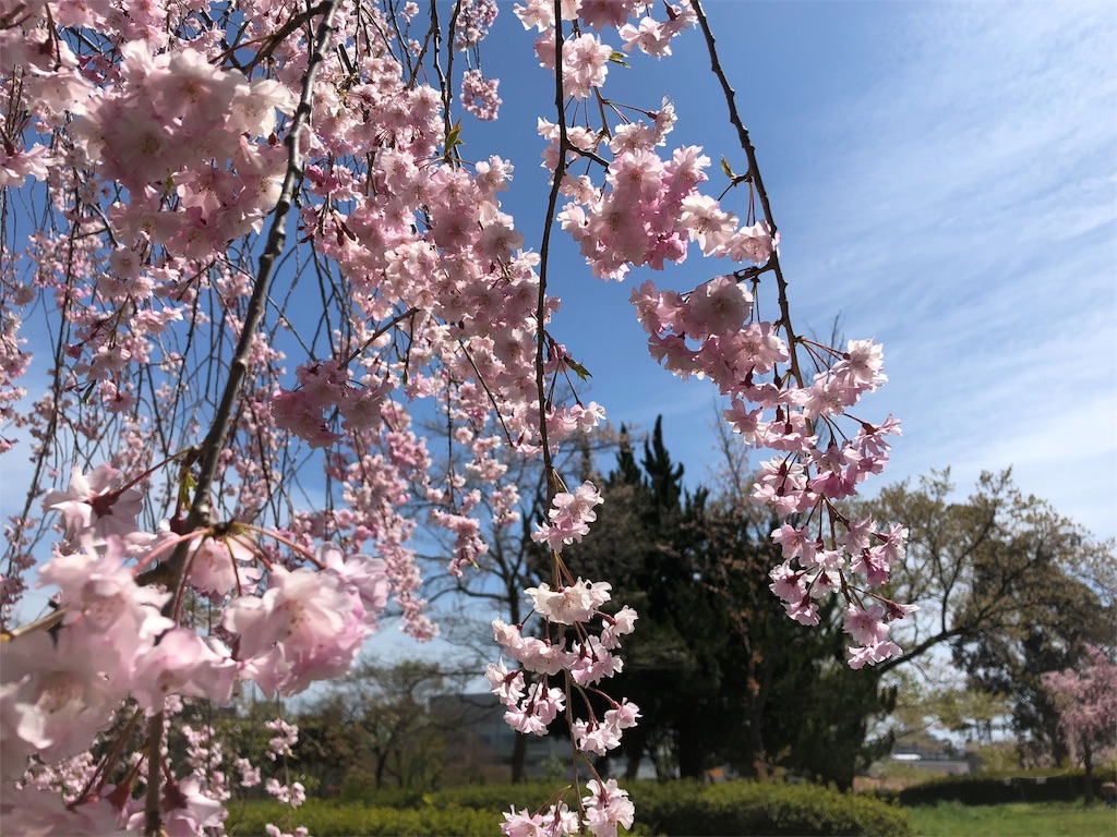 f:id:hiza10ji:20190421164737j:image