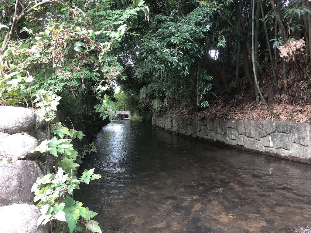 f:id:hiza10ji:20190926194656j:image
