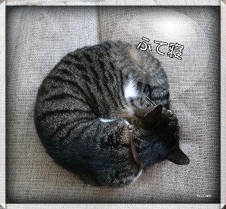 f:id:hizaitako:20191201165701j:image