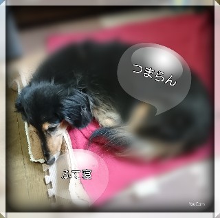 f:id:hizaitako:20191201165719j:image