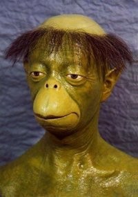 f:id:hizaitako:20200109154247j:image