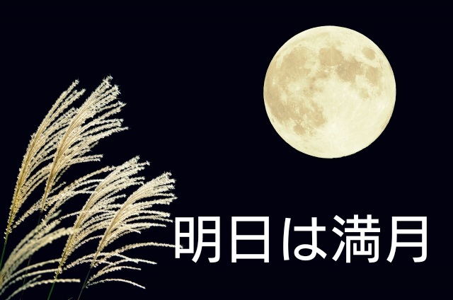 f:id:hizaitako:20200110143259j:plain f:id:hizaitako:20200110143259j:plain