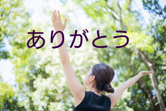 f:id:hizaitako:20200215004926j:plain