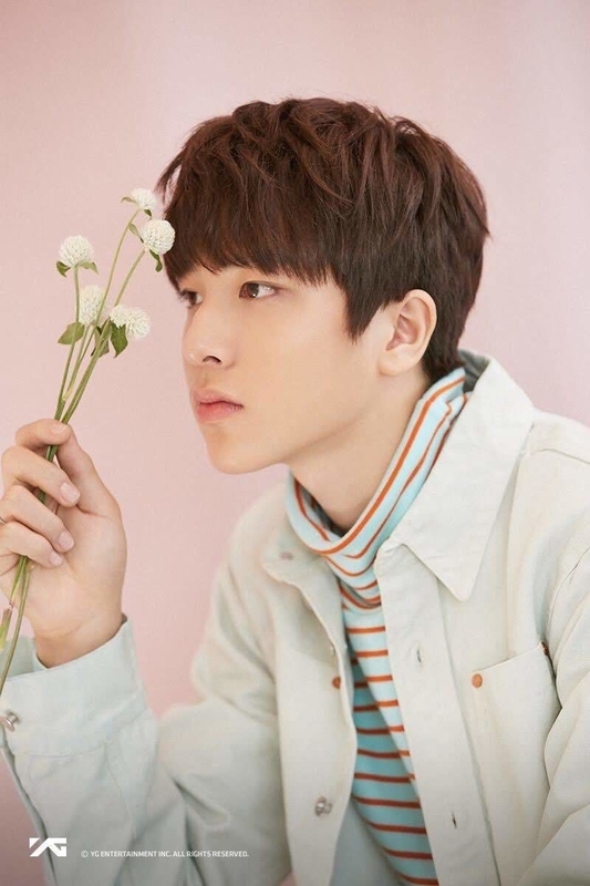 f:id:hizaula:20190126144715j:plain f:id:hizaula:20190126144715j:plain