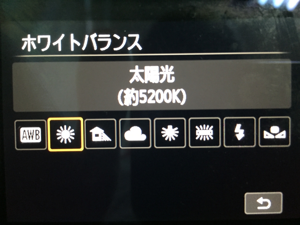 f:id:hizikimame:20170204121728j:plain