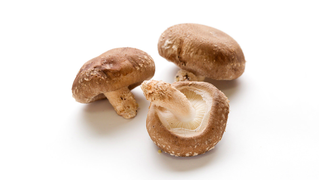 f:id:hizikix:20180828204545j:plain