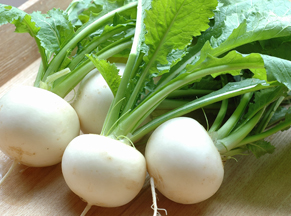 f:id:hizikix:20181103171205j:plain