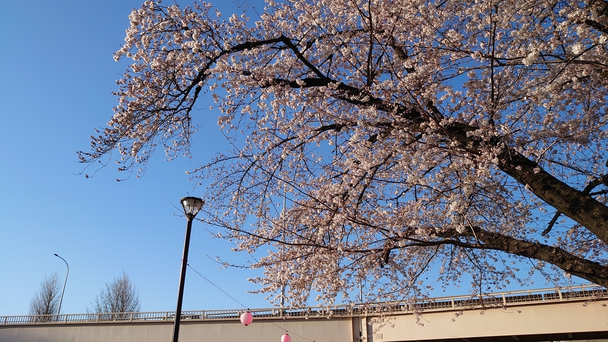 f:id:hjkslj3:20200325120936j:plain f:id:hjkslj3:20200325120936j:plain