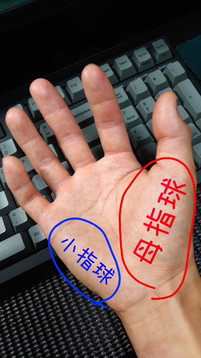 f:id:hjkslj3:20210808202244j:plain