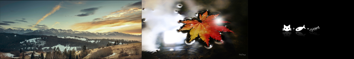 f:id:hjkslj3:20210930210917p:plain