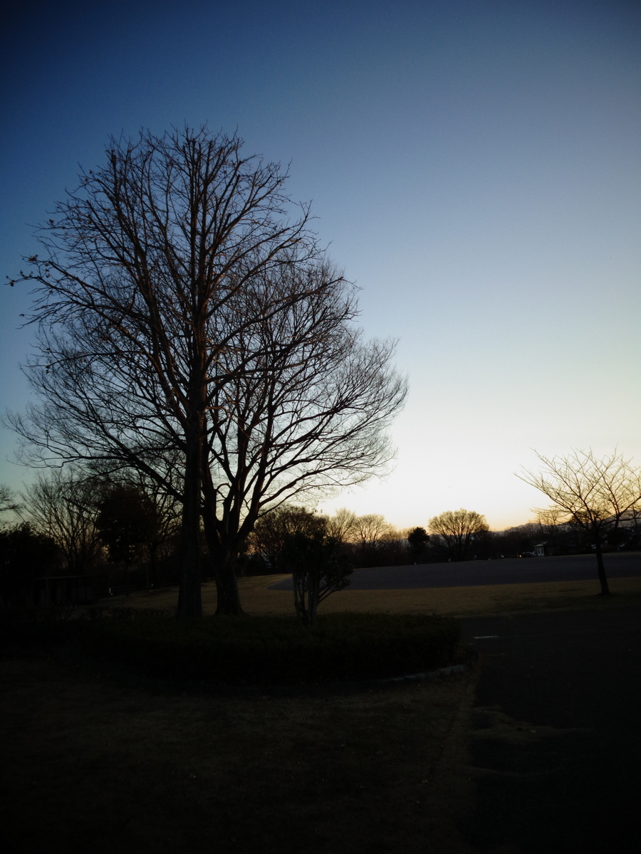 f:id:hjkslj3:20211222232004j:plain