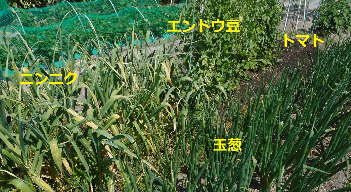 f:id:hk102426:20190512225223j:plain f:id:hk102426:20190512225223j:plain