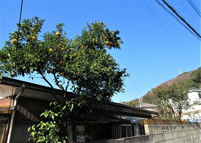 f:id:hk504:20210313141015j:plain