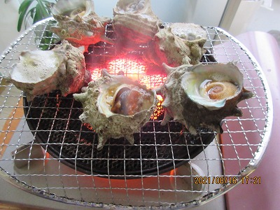 f:id:hk504:20211030153207j:plain