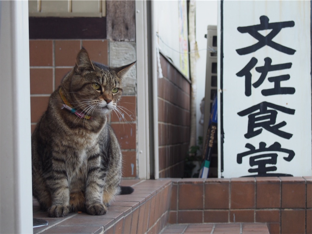 f:id:hk_trvl_52:20161025102144j:image