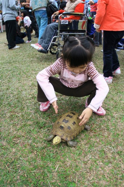 [香港][北區公園]