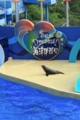[香港][海洋公園]