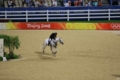 [香港][Olympic 2008]